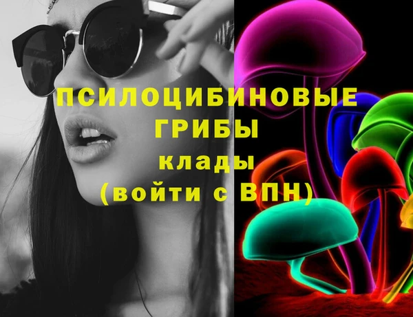 прущий лед Вязники
